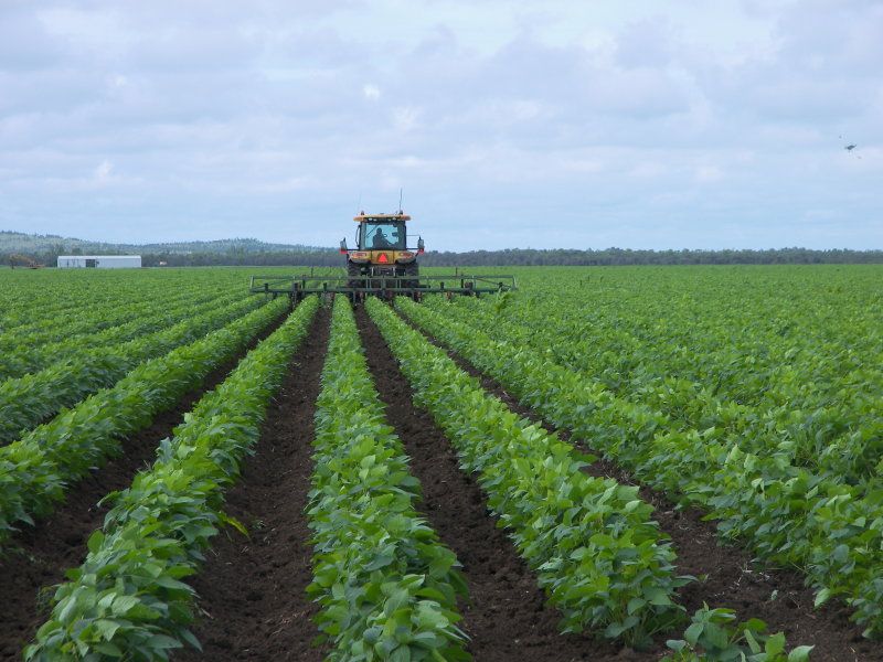 1 Gregory Development Road CLERMONT, QLD 4721 For sale Retail