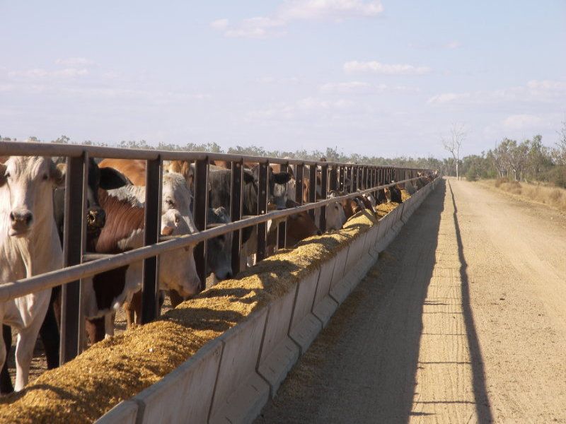 1 Gregory Development Road CLERMONT, QLD 4721 For sale Retail