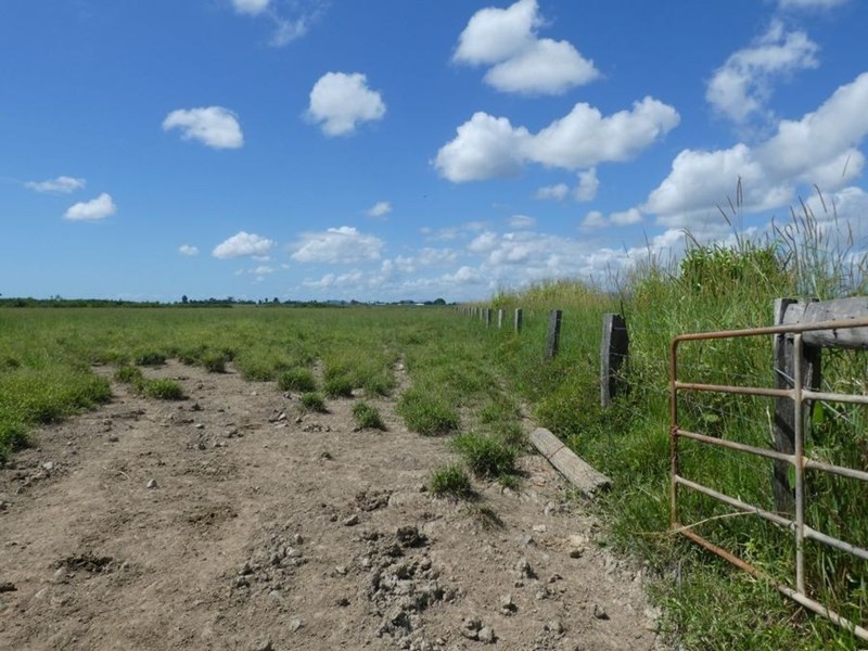 247 Rural & Farming Properties For Sale in Innisfail, QLD 4860