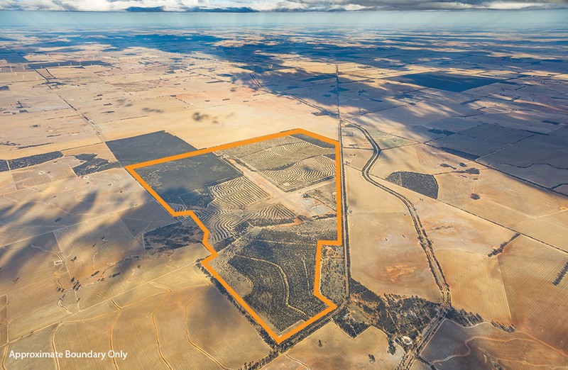 4 Commercial Real Estate Properties For Sale in Merredin, WA 6415